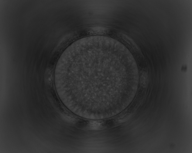 X0000091850701200710031020