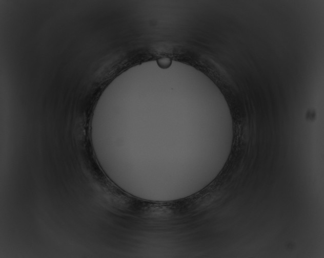 X0000091850702200710031020