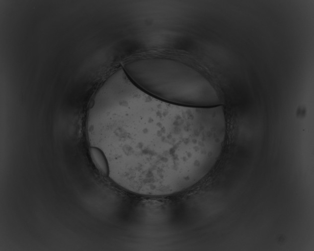 X0000091850703200710031020
