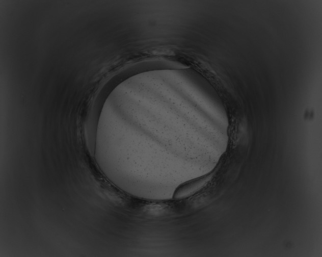 X0000091850704200710031020