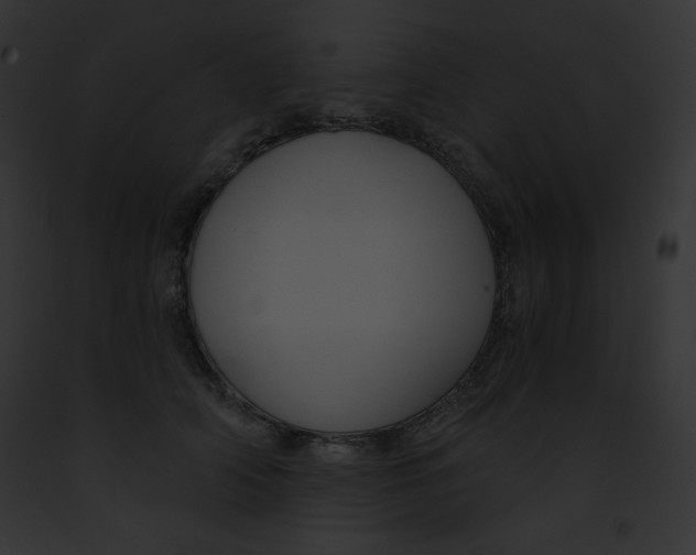 X0000091850706200710031020