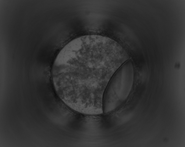 X0000091850707200710031020