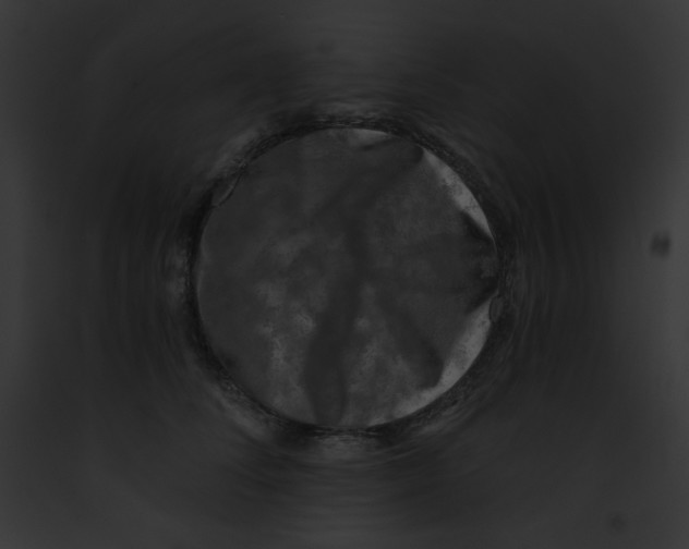 X0000091850708200710031020