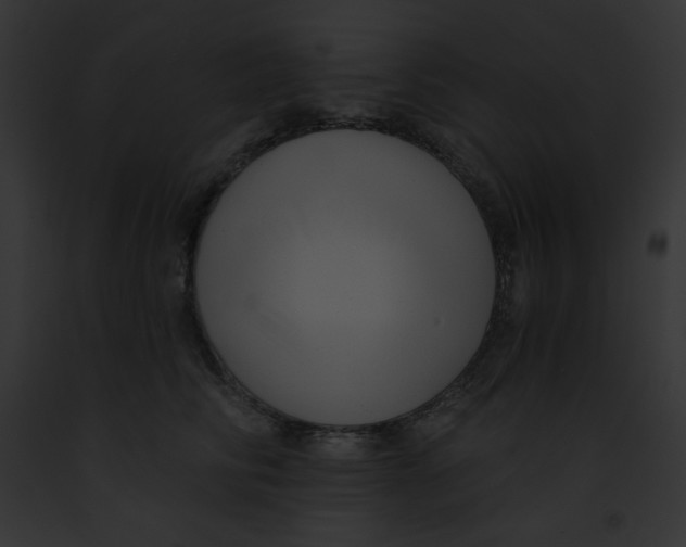 X0000091850710200710031020