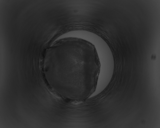 X0000091850712200710031020