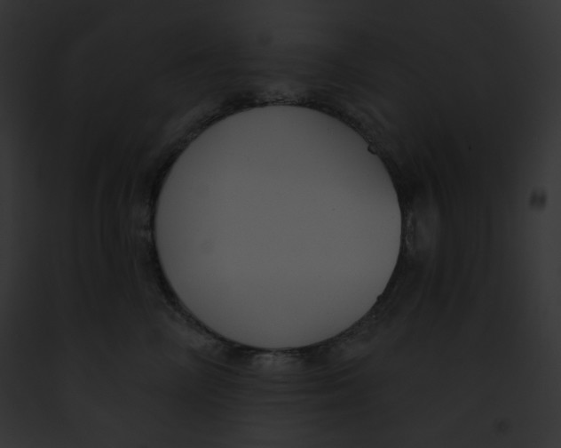 X0000091850714200710031020