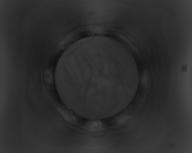 X0000091850715200710031020
