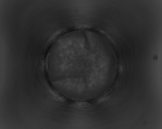 X0000091850716200710031020