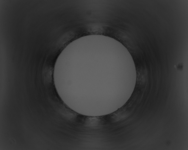X0000091850717200710031020