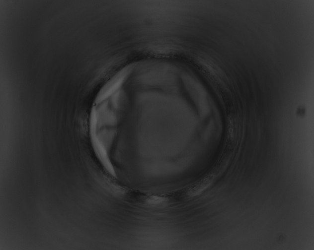 X0000091850718200710031020