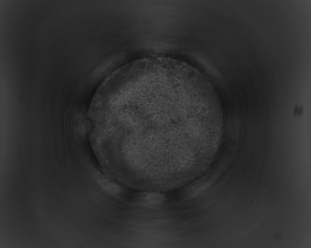 X0000091850719200710031020