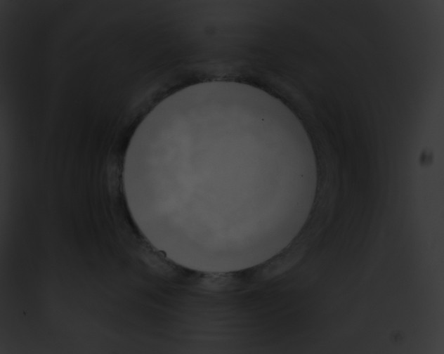 X0000091850720200710031020