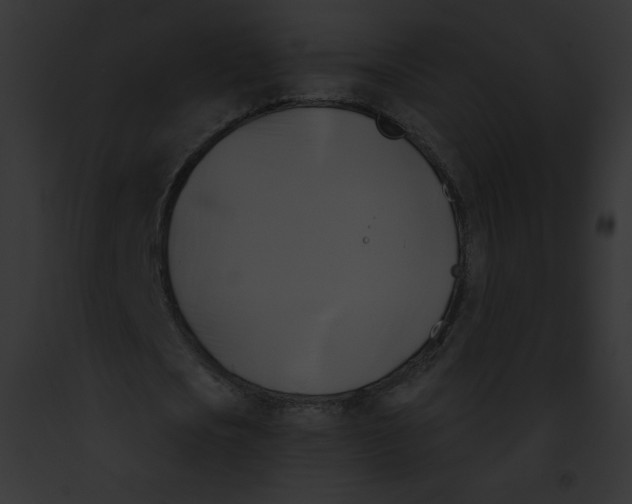 X0000091850721200710031019