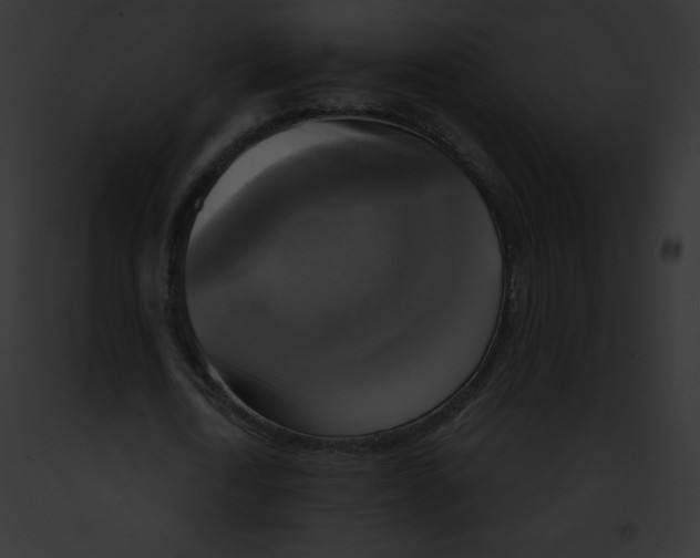 X0000091850722200710031019