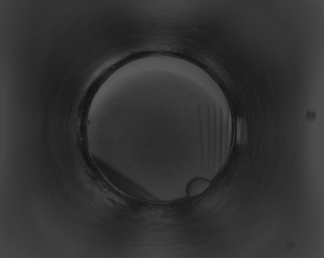 X0000091850723200710031019
