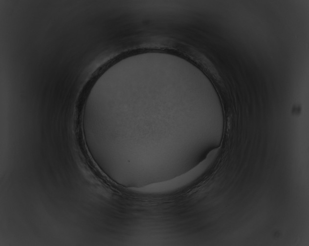X0000091850724200710031019