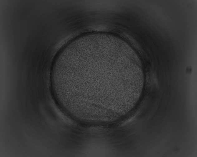 X0000091850725200710031019