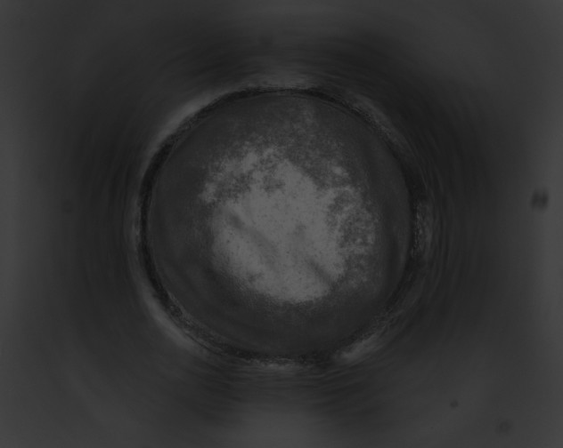 X0000091850726200710031019