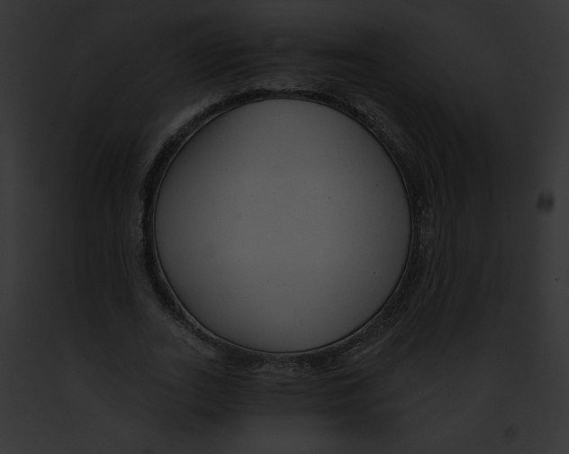X0000091850727200710031019