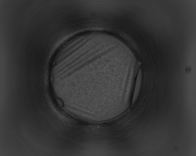 X0000091850728200710031019