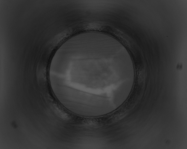 X0000091850729200710031019
