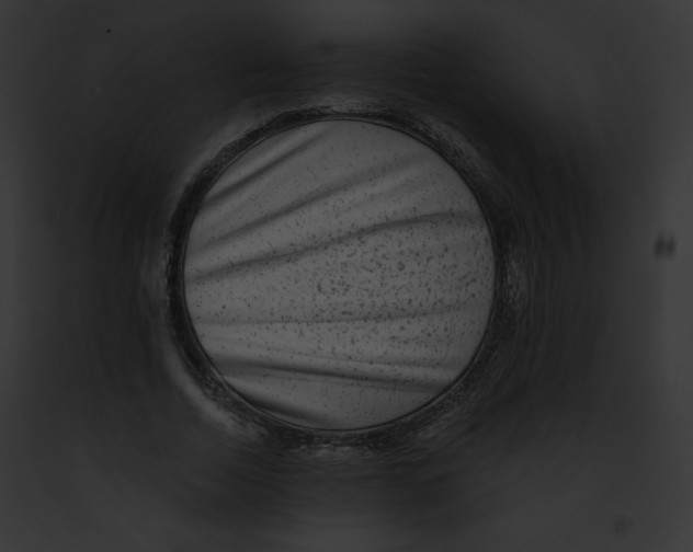 X0000091850730200710031019