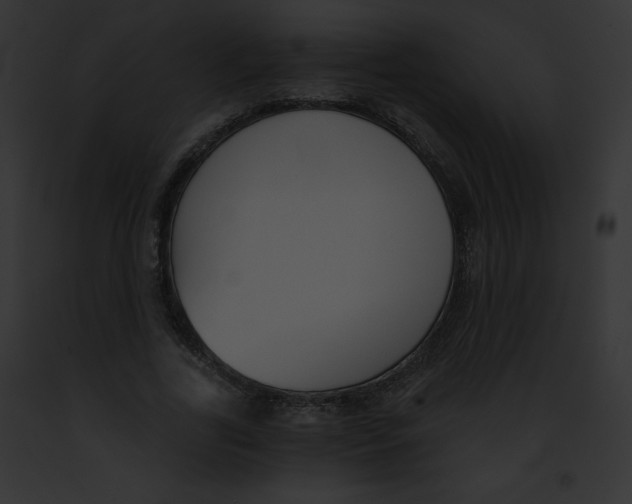 X0000091850731200710031019