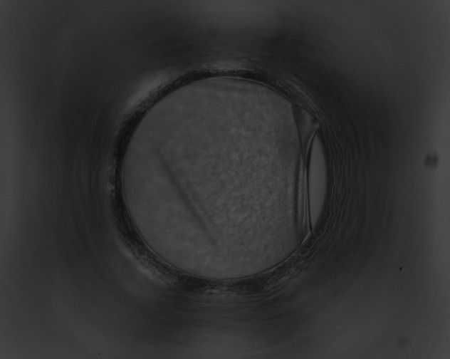 X0000091850732200710031019