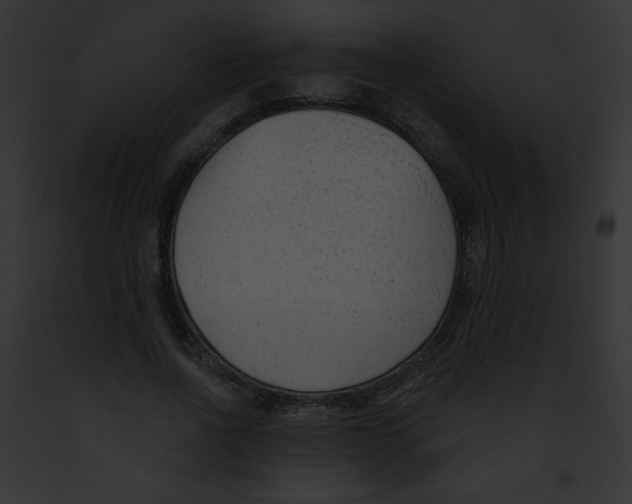 X0000091850734200710031019