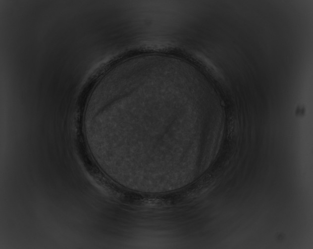 X0000091850736200710031019