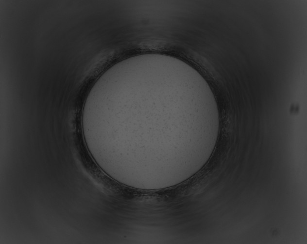 X0000091850738200710031019