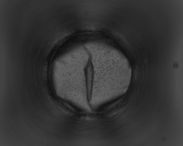 X0000091850739200710031019