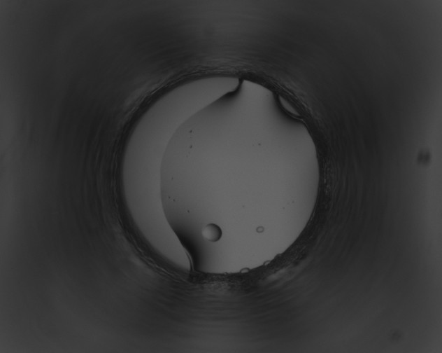 X0000091850740200710031020