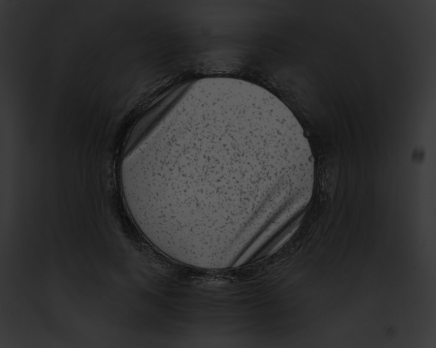 X0000091850743200710031020