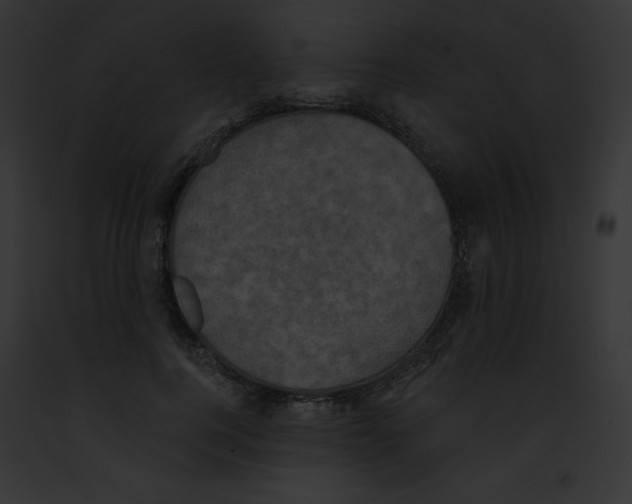 X0000091850744200710031020