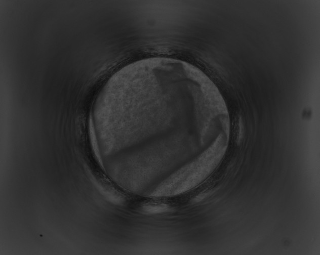 X0000091850747200710031020