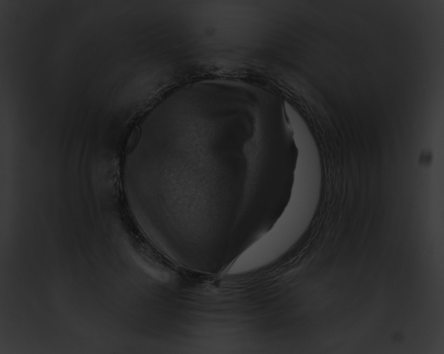 X0000091850748200710031020