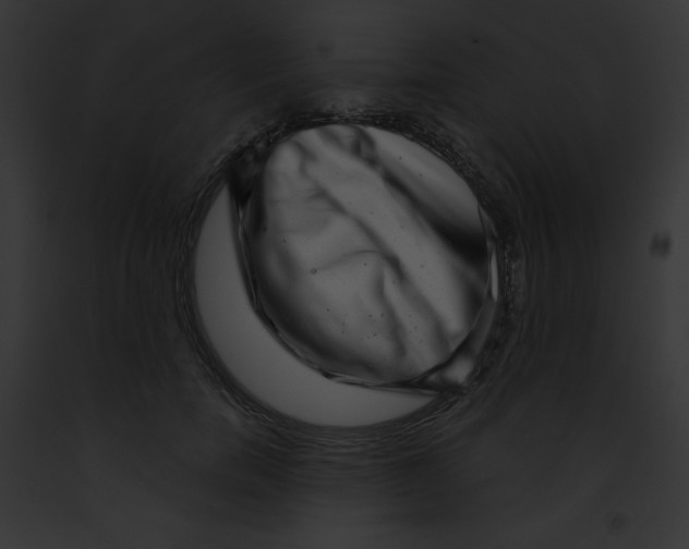 X0000091850750200710031020