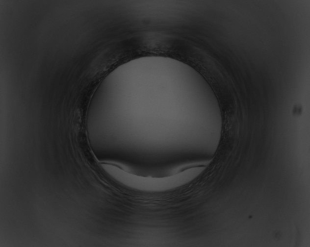 X0000091850752200710031020
