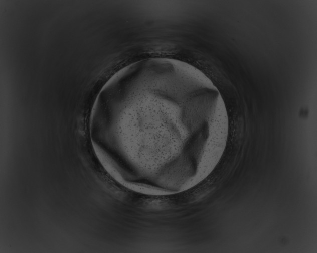 X0000091850755200710031020