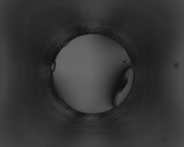 X0000091850756200710031020