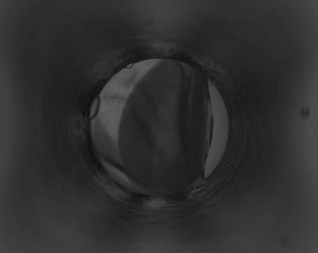 X0000091850759200710031020