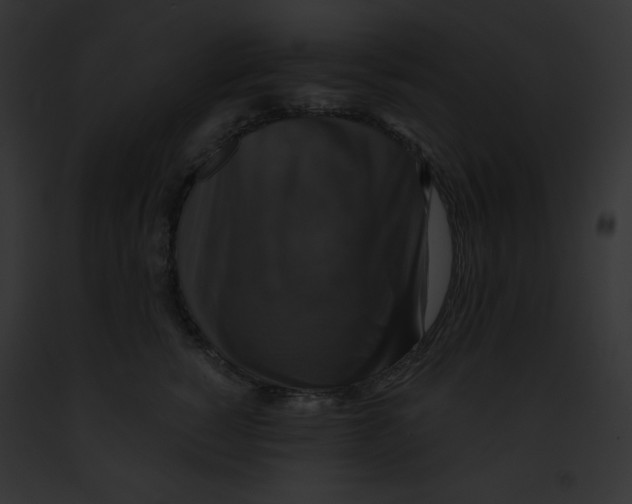 X0000091850760200710031020