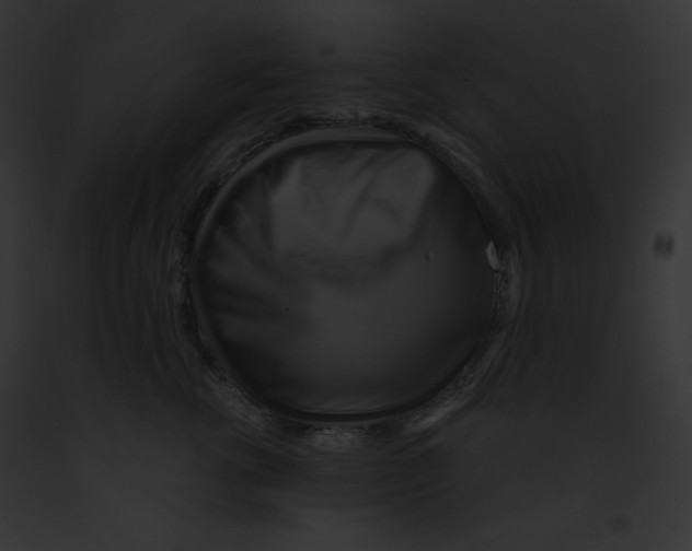 X0000091850762200710031020