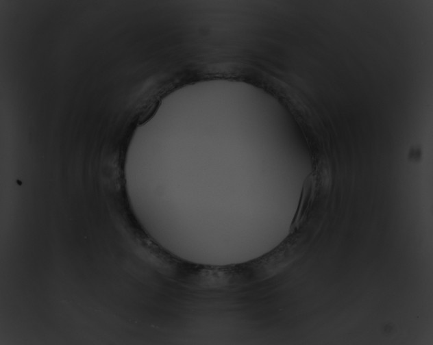 X0000091850764200710031020