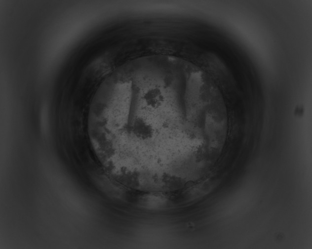 X0000091850765200710031020