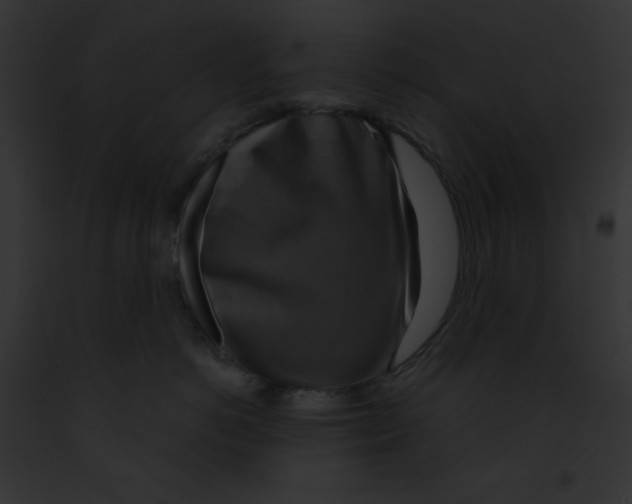 X0000091850766200710031020