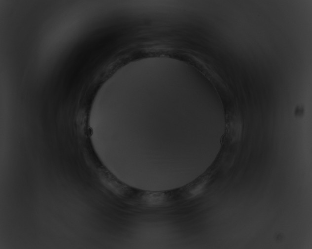 X0000091850767200710031020