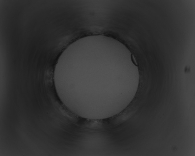 X0000091850768200710031020