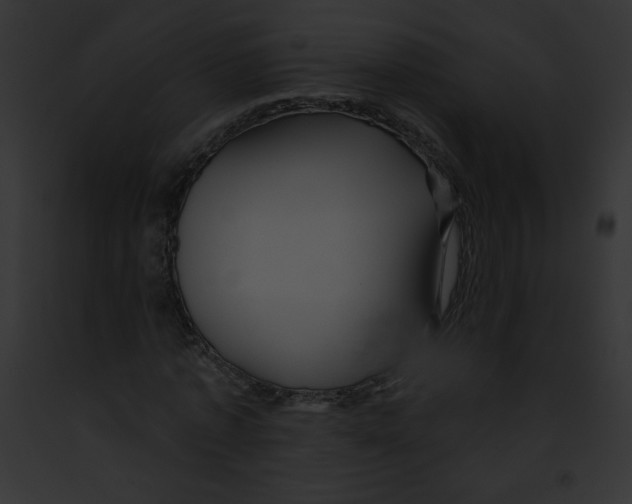 X0000091850773200710031019